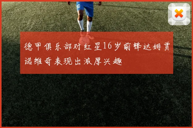 德甲俱乐部对红星16岁前锋达姆贾诺维奇表现出浓厚兴趣