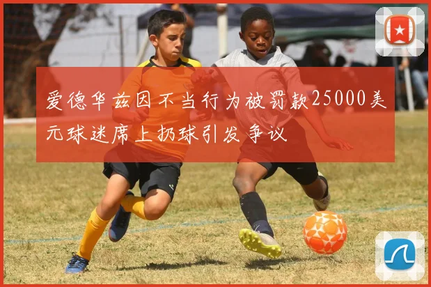 爱德华兹因不当行为被罚款25000美元球迷席上扔球引发争议