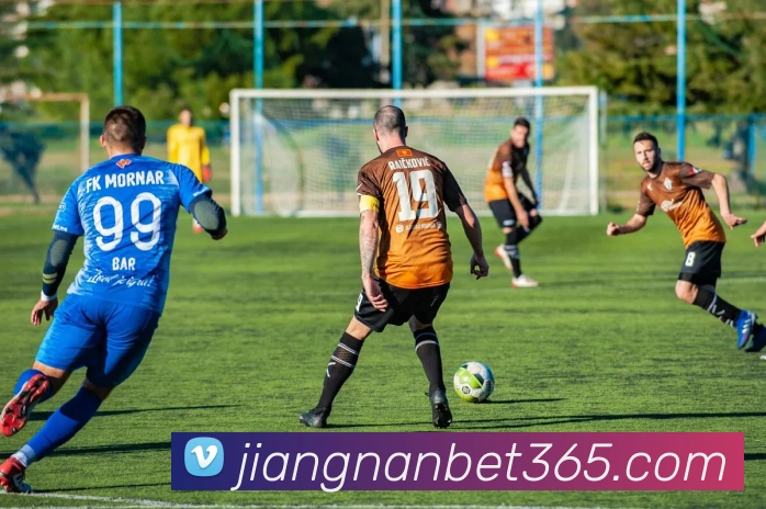 江南体育平台生态图